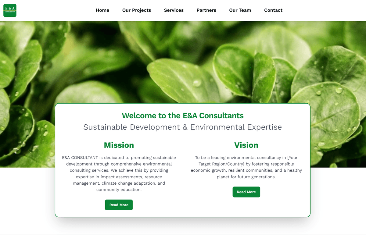 E&A Consultant
