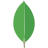 MongoDB